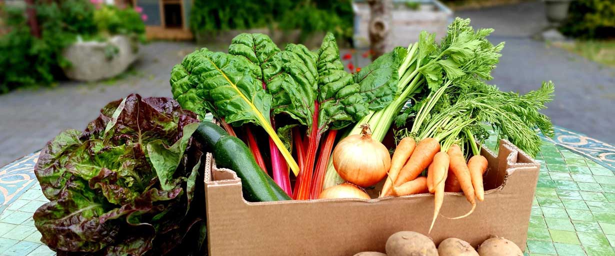 organic vegetable
